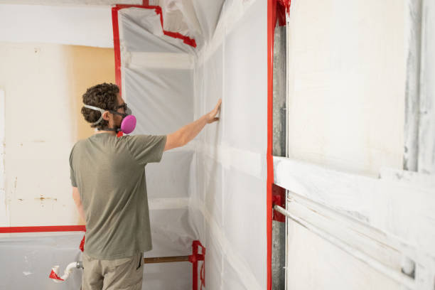 Best Mold Prevention Services  in Ava, MO