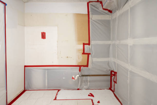 Best Emergency Mold Remediation  in Ava, MO