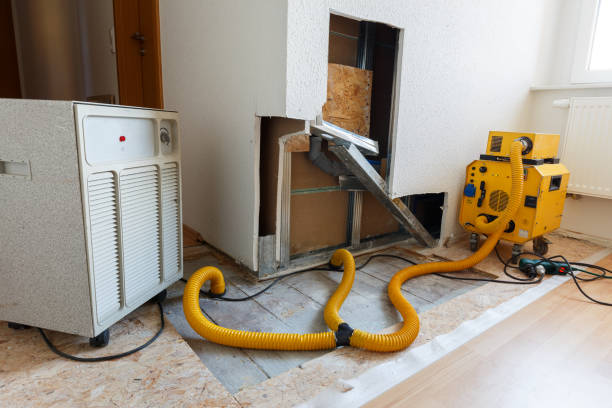 Best Dehumidification Services  in Ava, MO